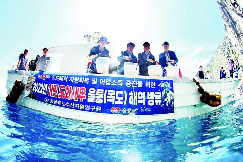 경북도 수산자원연구원이 수산자원의 회복과 어업인 소득 증대를 위해 동해 황금어장인 울릉 및 울진 왕돌초 해역에 도화새우 30만 마리를 방류했다. 이에 경북도는 자연 적응 및 생존율을 높이기 위해 사육수온과 유사한 환경을 갖춘 50m 이하의 암초지대에 방류하는 방법을 사용해 26일 울릉 해역에 방류했다고 밝혔다. 이번에 방류한 도화새우는 지난해 12월 포란된 어미(관리 수온 4~5℃)로부터 부화해 약 6개월간 8~10℃의 수온에서 사육한 전장 약 1.5~3cm의 건강한 개체로, 이들 도화새우는 성장 단계에 따라 서식에 적합한 해역으로 이동할 것으로 예상된다.이종팔기자