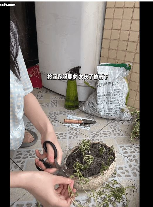 지난 1일(현지시간) 미국 CNBC는 