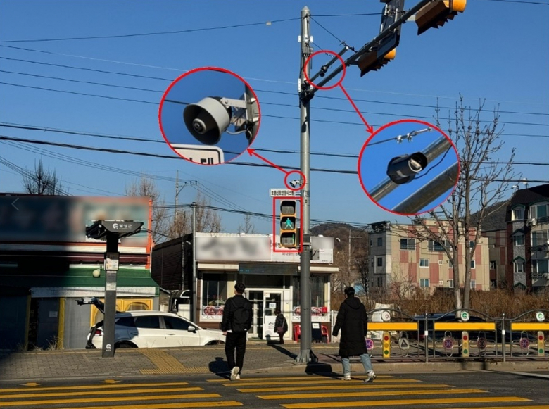 대구 달성군 포산초등학교 앞 스마트횡단보도.