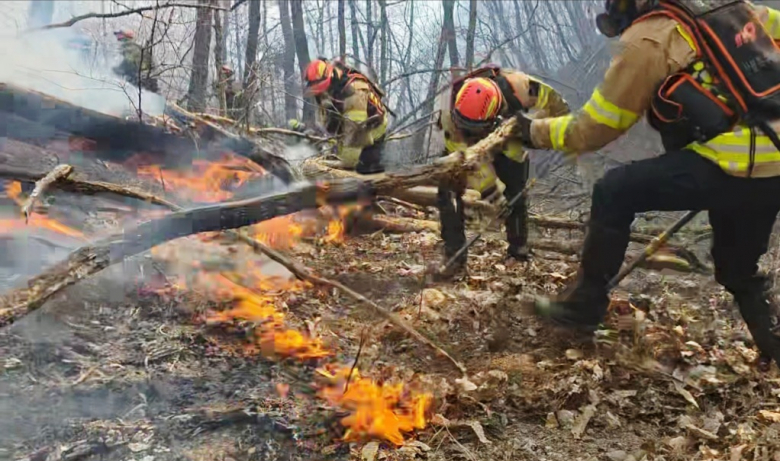 8일 경북 경주시 문무대왕면 입천리에서 발생한 산불 현장서 소방 당국이 진화에 나서고 있다.뉴스1