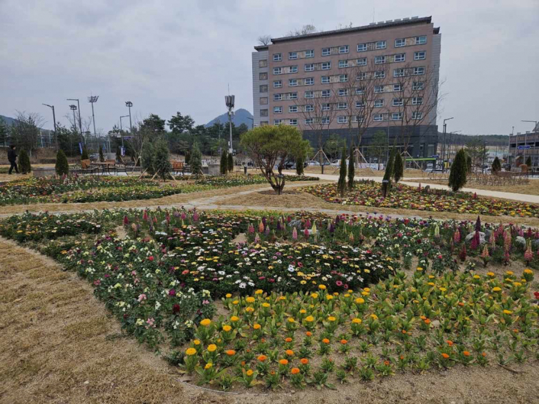 경북도는 3일 도청 이전 10주년을 기념해 개막하는 제64회 경북도민체육대회를 맞아, 천년숲을 봄꽃 정원으로 조성해 대회 분위기를 한층 더하고 있다.이경미 기자