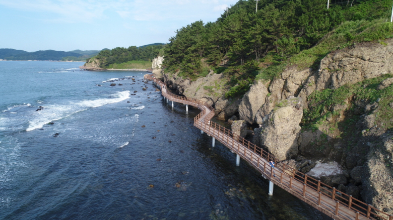 호미반도 해안둘레길 전경.